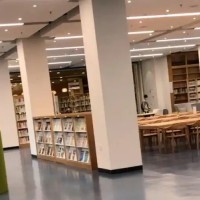 深圳中学校园环境