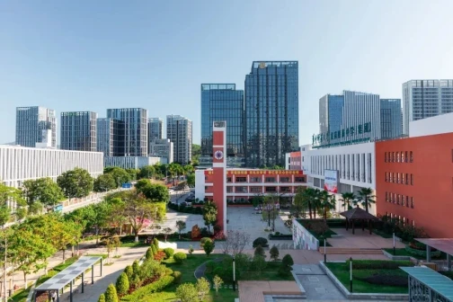 华中师范大学龙岗附属中学