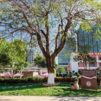 华中师范大学龙岗附属中学校园环境