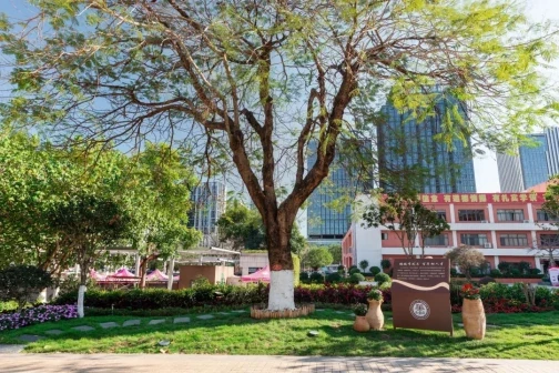 华中师范大学龙岗附属中学