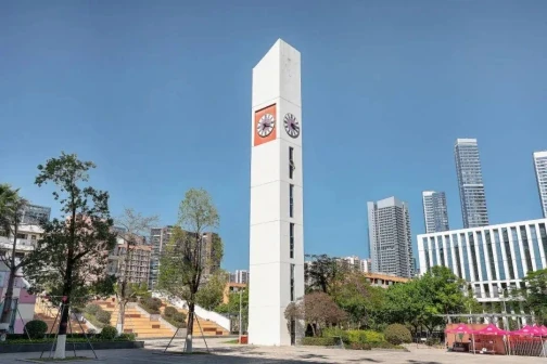 华中师范大学龙岗附属中学