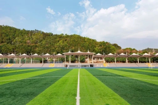 华中师范大学龙岗附属中学