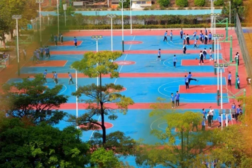 华中师范大学龙岗附属中学