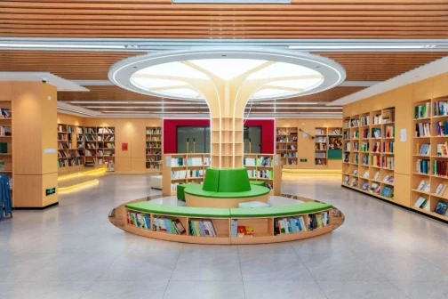 华中师范大学龙岗附属中学