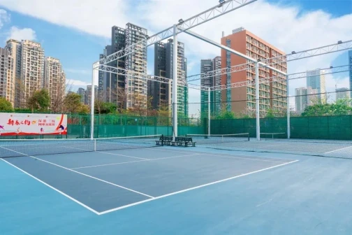 华中师范大学龙岗附属中学