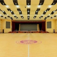 华中师范大学龙岗附属中学校园环境