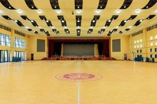 华中师范大学龙岗附属中学