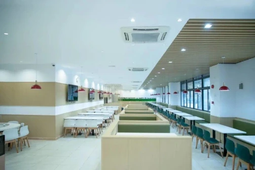 华中师范大学龙岗附属中学