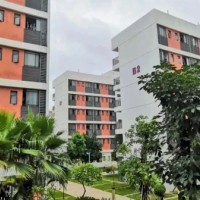 华中师范大学龙岗附属中学校园环境