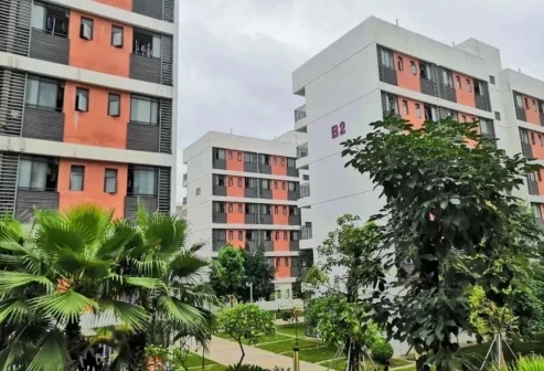 华中师范大学龙岗附属中学